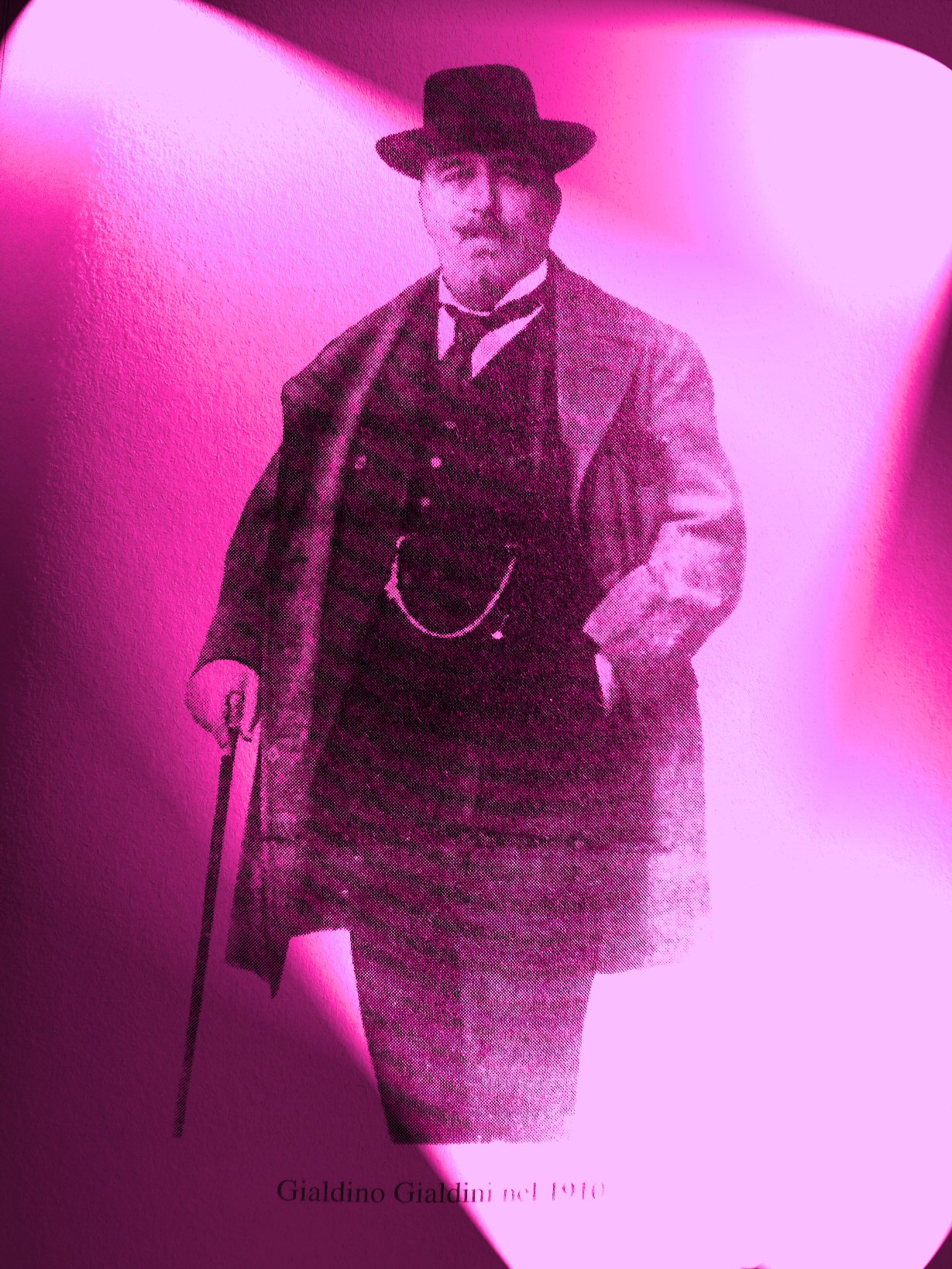Ritratto rosa